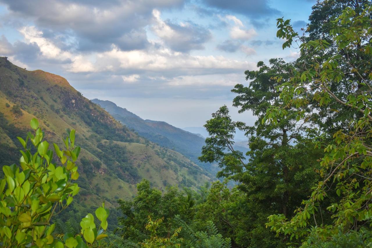 Nature Green Hotels On Rock Home Ella Εξωτερικό φωτογραφία