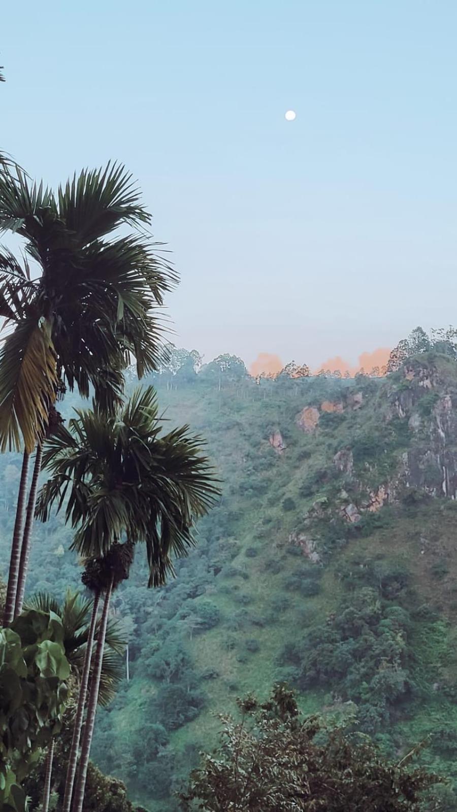 Nature Green Hotels On Rock Home Ella Εξωτερικό φωτογραφία
