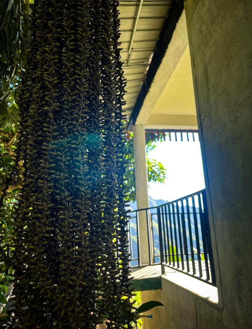 Nature Green Hotels On Rock Home Ella Εξωτερικό φωτογραφία