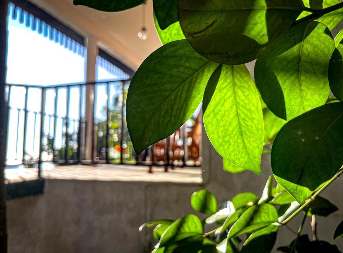 Nature Green Hotels On Rock Home Ella Εξωτερικό φωτογραφία