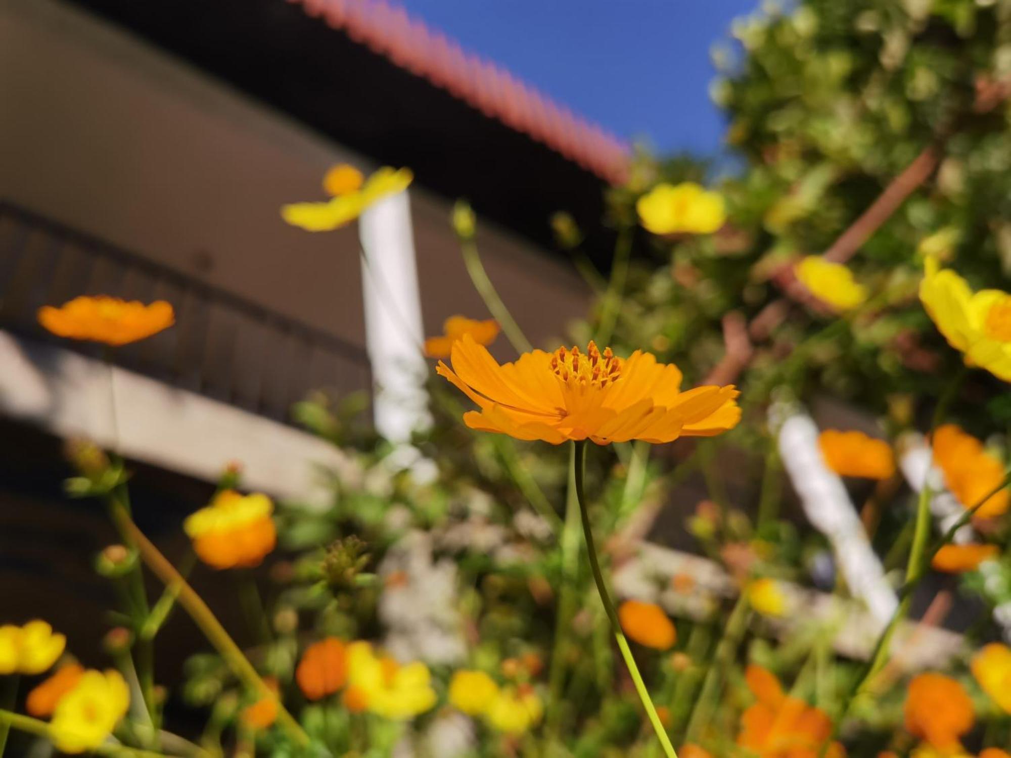 Nature Green Hotels On Rock Home Ella Εξωτερικό φωτογραφία