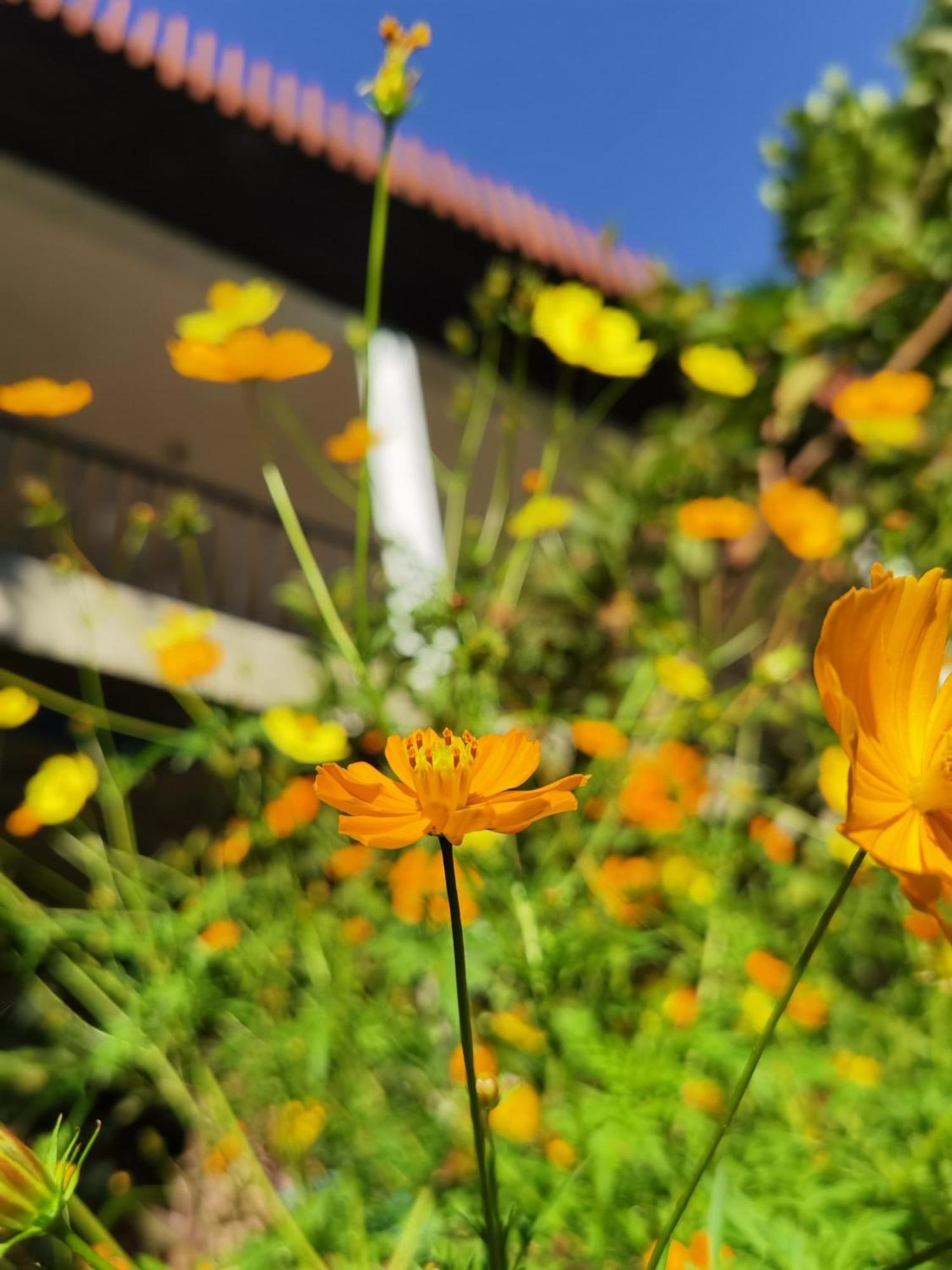 Nature Green Hotels On Rock Home Ella Εξωτερικό φωτογραφία